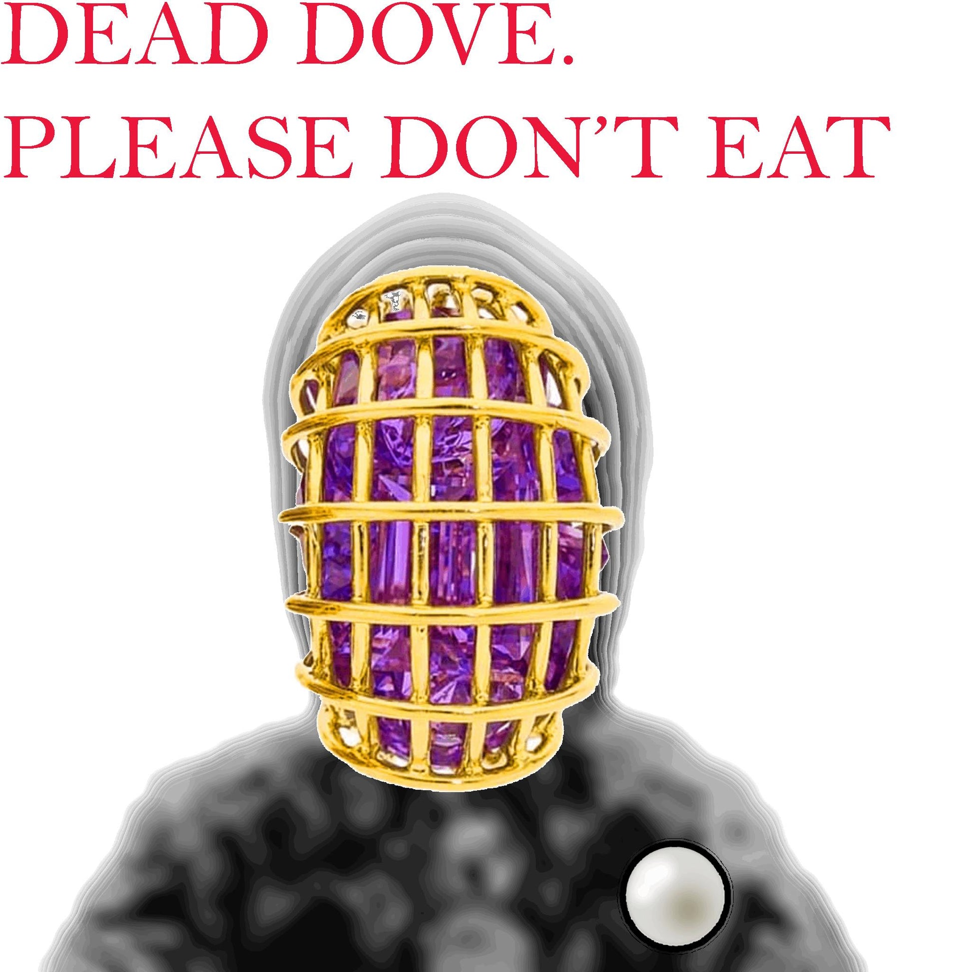 Dead Dove. Please don't eat.