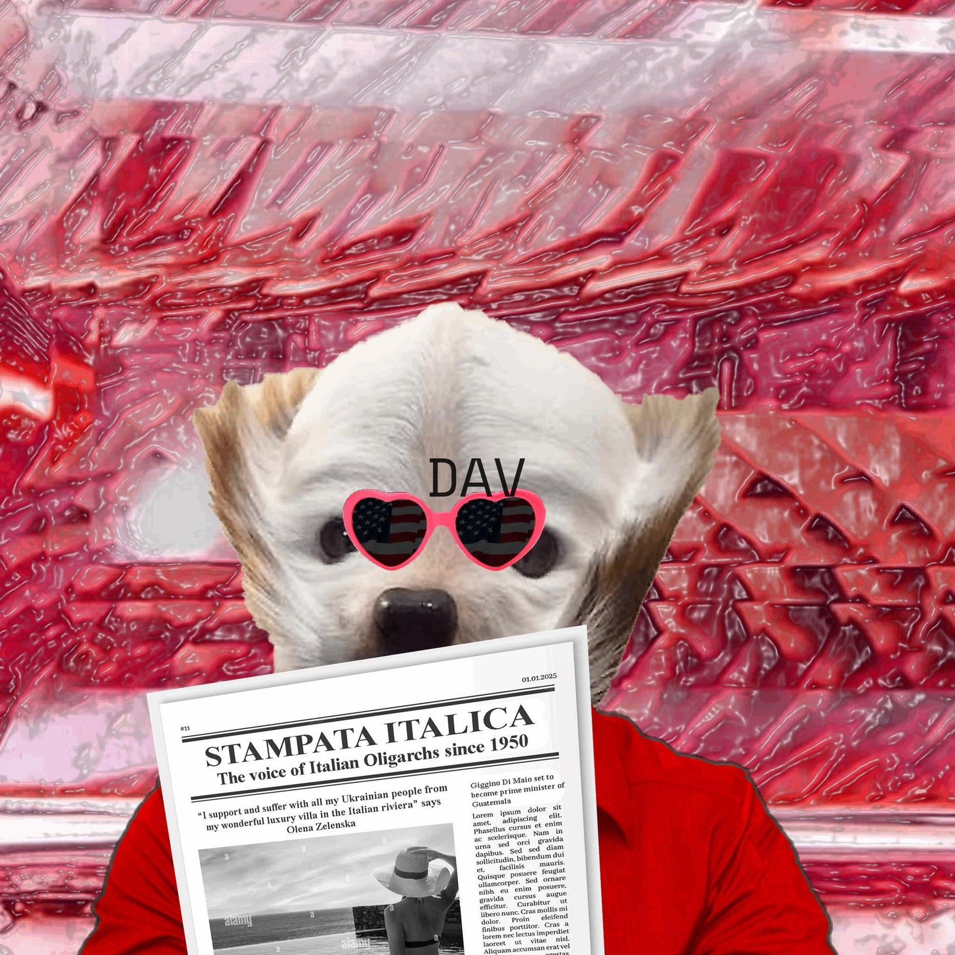 ZOZO - Olena American dream