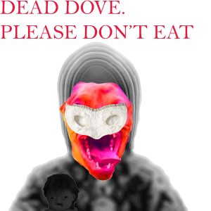 Dead Dove. Please don't eat.